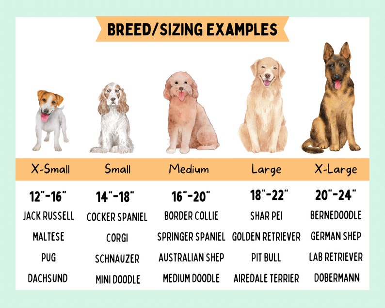 May include: A chart with watercolor illustrations of dogs, including a Jack Russell, Cocker Spaniel, and Golden Retriever. The chart lists breed examples and sizing in inches, ranging from X-Small (12-16") to X-Large (20-24").