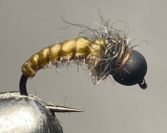 Tungsten Bead head Caddis pupa nymph pack of 5 trout flies