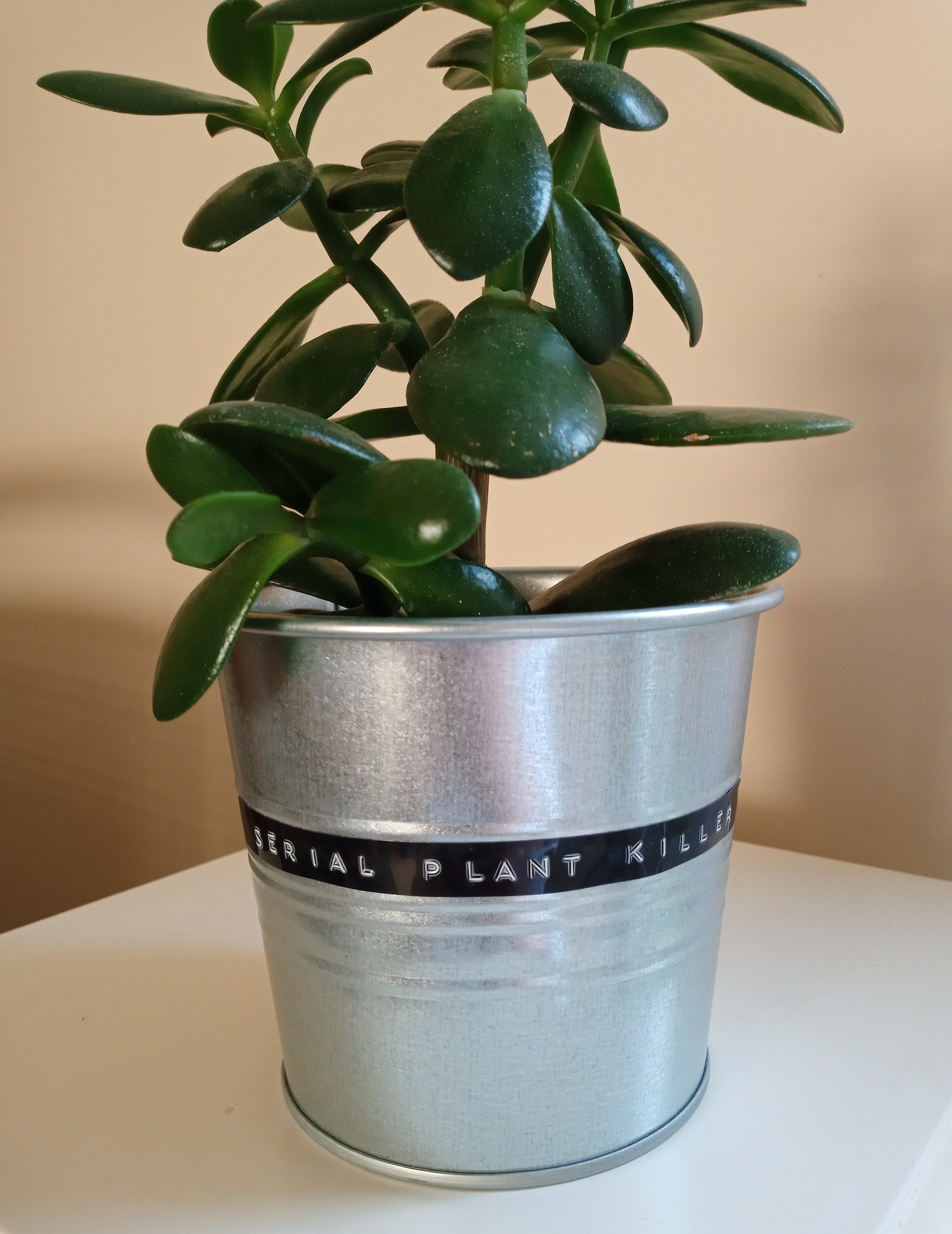 Plant Pot Labels 3D Retro Style Personalised Embossed Adhesive Etsy