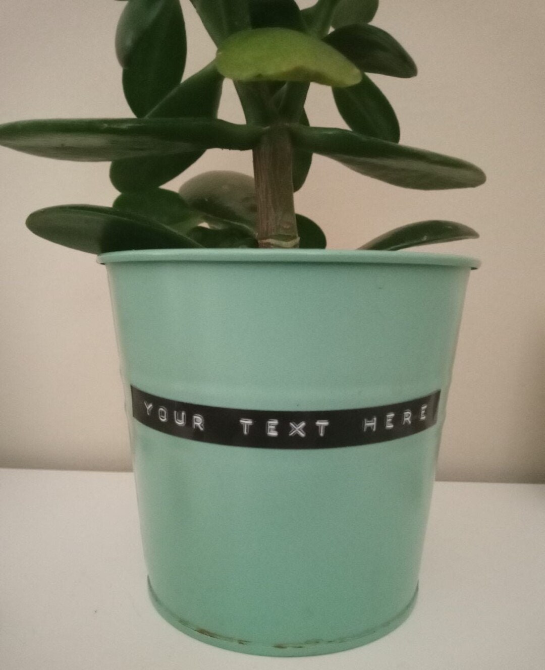 Plant Pot Labels 3D Retro Style Personalised Embossed Adhesive Etsy