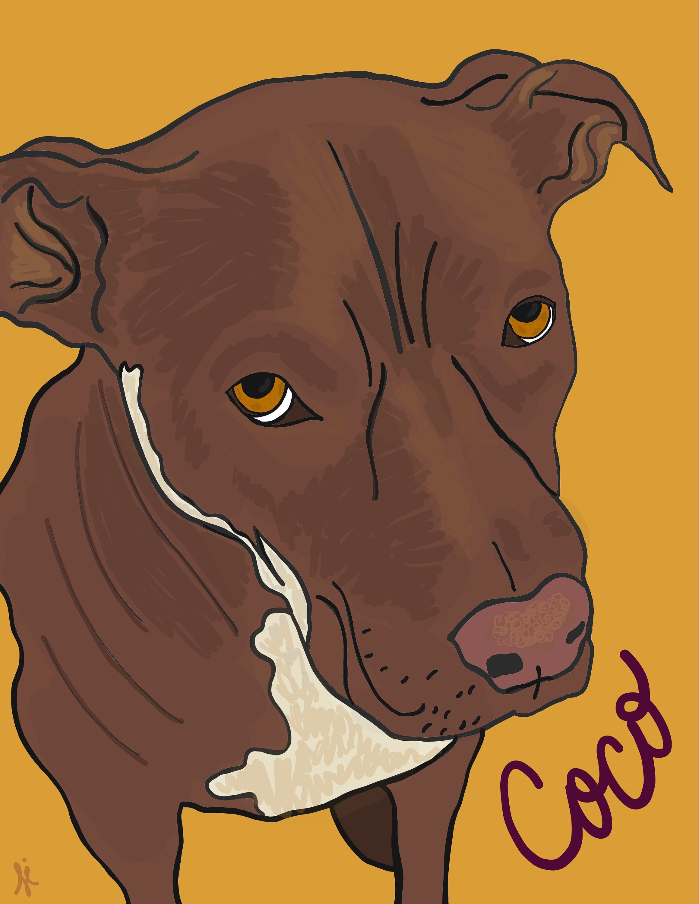 Hand Drawn Pet Portraits Etsy