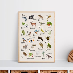 Alphabet Print - Bosque: Piedra - Ilustraciones/Póster/Impresión (A4/A3)
