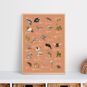 Alphabet Print - Bosque: Melocotón Cálido - Ilustraciones/Póster/Impresión (A4/A3)