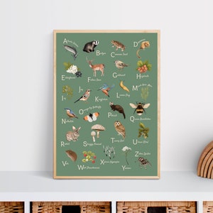 Alphabet Print - Bosque: Bosque Verde - Ilustraciones/Póster/Impresión (A4/A3)