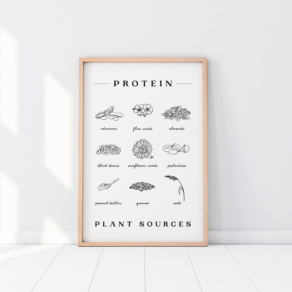 Protein Nutrition Print - Artwork/Poster/Print (A4/A3)