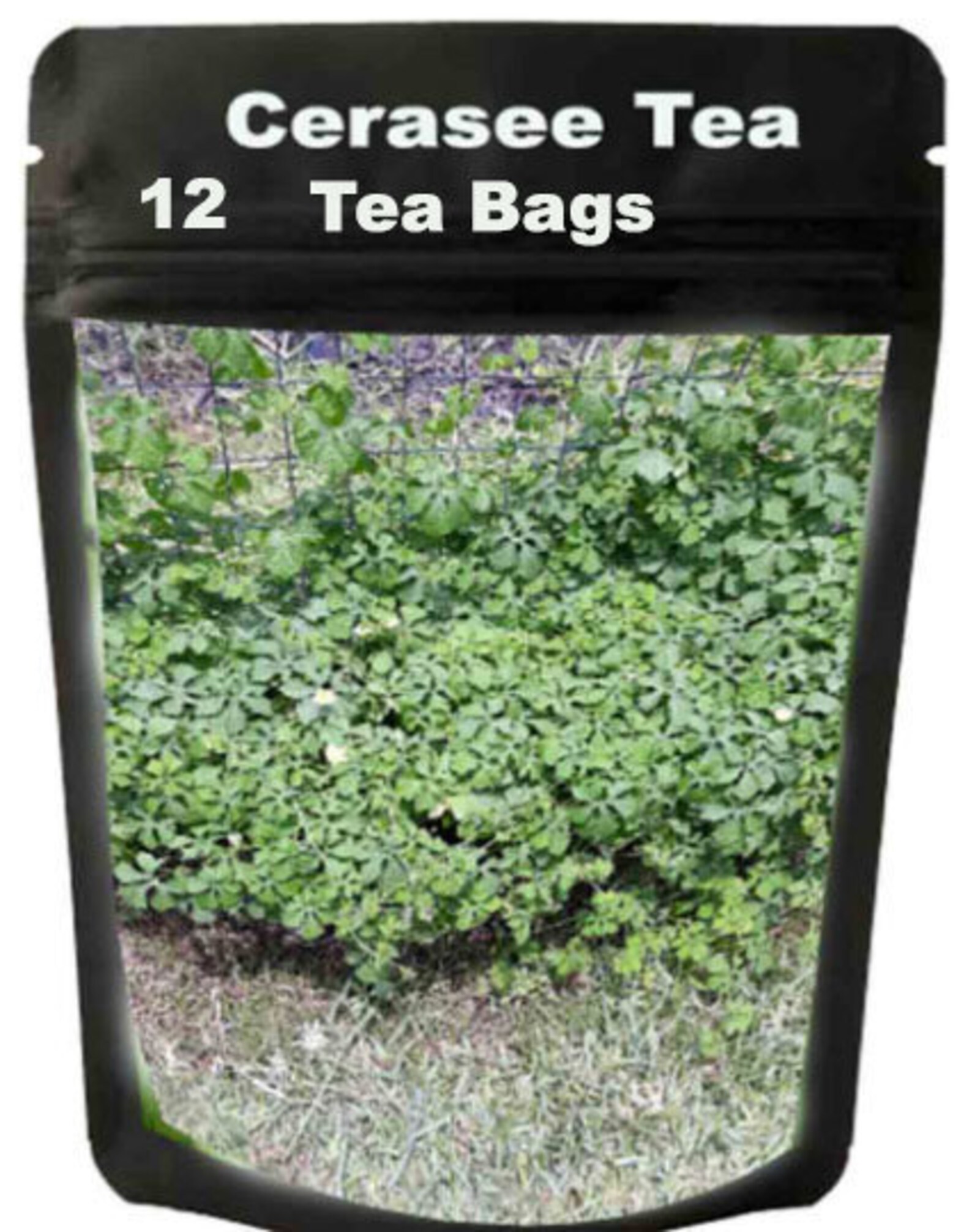 Cerasee Tea Jamaican cerasee tea 12 tea bags grown in TEXAS Etsy
