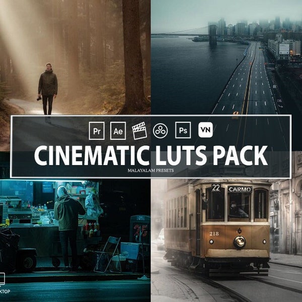 75 filmische Videofilter, Luts, Adobe Premiere Pro LUT Pack, Video Luts Final Cut Pro, Film Luts für DaVinci Resolve, VN App Luts, Slog3 Luts