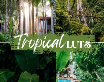 10 Tropical LUTs, Adobe Premiere Pro LUTs Pack, Video Editing Luts Final Cut Pro, Video Presets for DaVinci Resolve Vlog