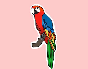 Unbekannt Adesivo da Parete pappagallini 