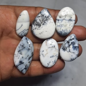 May include: Six polished dendritic opal gemstones are shown. The opals are white with detailed black and grey patterns, and come in various shapes, including oval and teardrop. The gemstones are presented against a neutral backdrop.