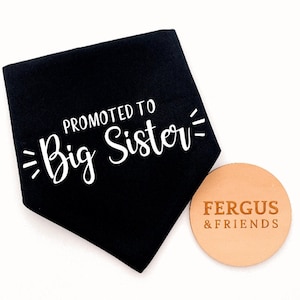 Big Sister Announcement  | Personalised Dog Bandana | Customised Dog Bandana | Bandana for Dogs