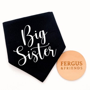 Big Sister Brother Announcement  | Personalised Dog Bandana | Customised Dog Bandana | Bandana for Dogs