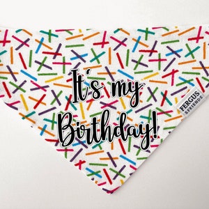 Birthday Dog Bandana | Personalised Dog Bandana | Pawty Dog Bandana | Bandana for Dogs | Dog Birthday