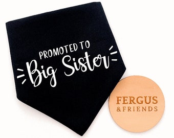 Big Sister Announcement  | Personalised Dog Bandana | Customised Dog Bandana | Bandana for Dogs