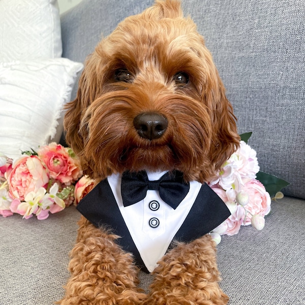 Dog Tuxedo Bandana  | Personalised Dog Bandana | Customised Dog Bandana | Marriage Bandana for Dogs | Wedding Dog | Dog Bowtie