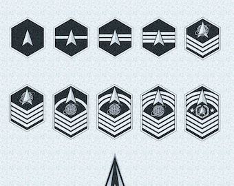 SPACE FORCE RANK Plaque Pub Style Custom Personalized Military ...