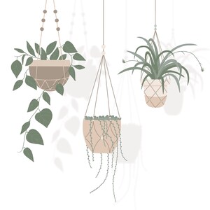 Może przedstawiać: Trzy wiszące rośliny w makramowych doniczkach. Rośliny są w różnych odcieniach zieleni, a doniczki w odcieniach brązu. Rośliny wiszą z sufitu.