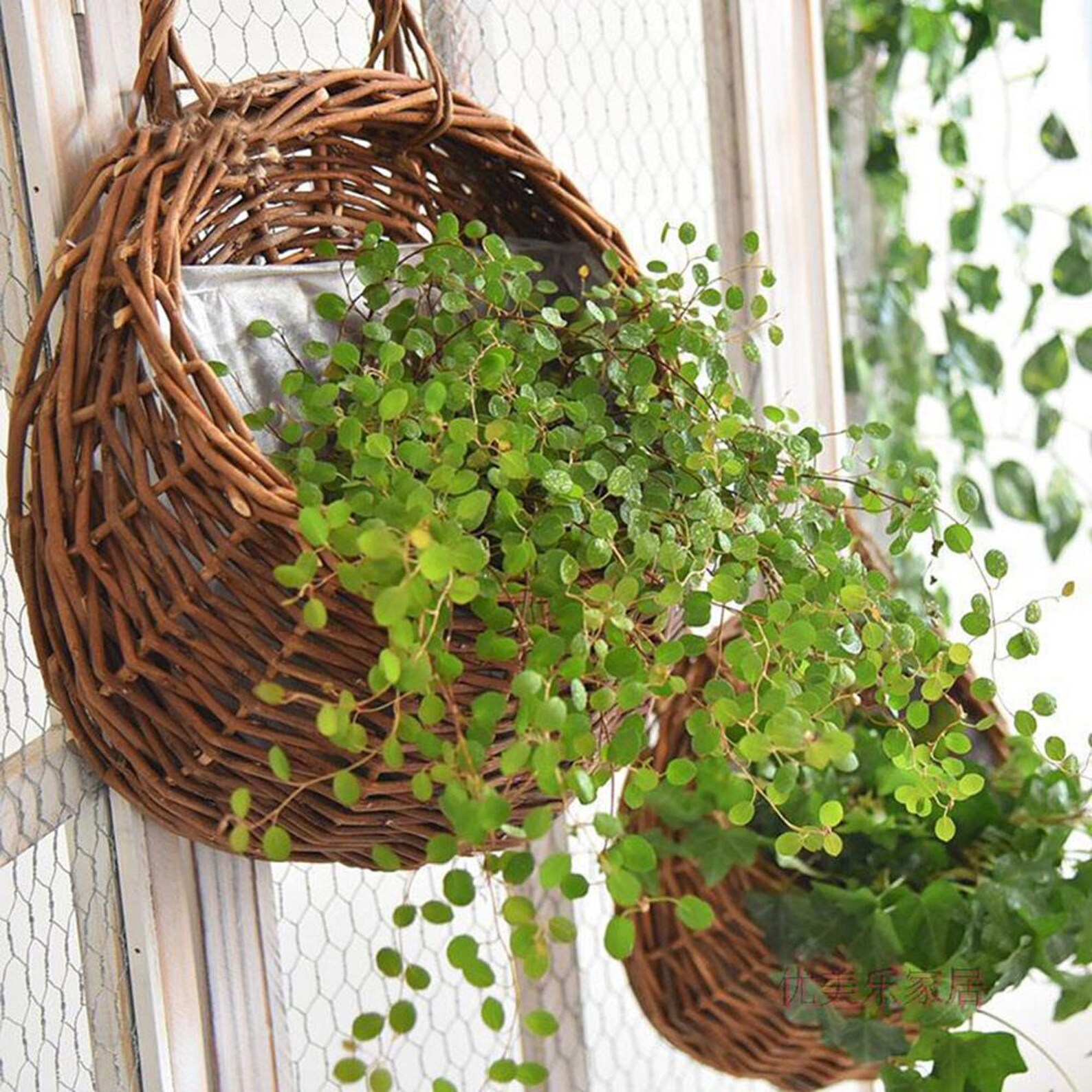 Garden Wallmounted Flower Basket Large Size Handmade Basket Etsy