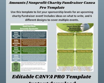 8.5"x11" Sponsor Levels Flyer | Donation Amounts | Nonprofit Charity Fundraiser Canva Pro Template