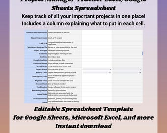 Seguimiento del gerente de proyectos / Excel y hojas de cálculo de Google (descarga digital)