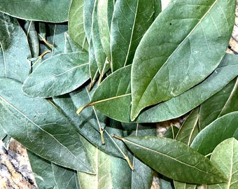 Fresh Bay Leaves