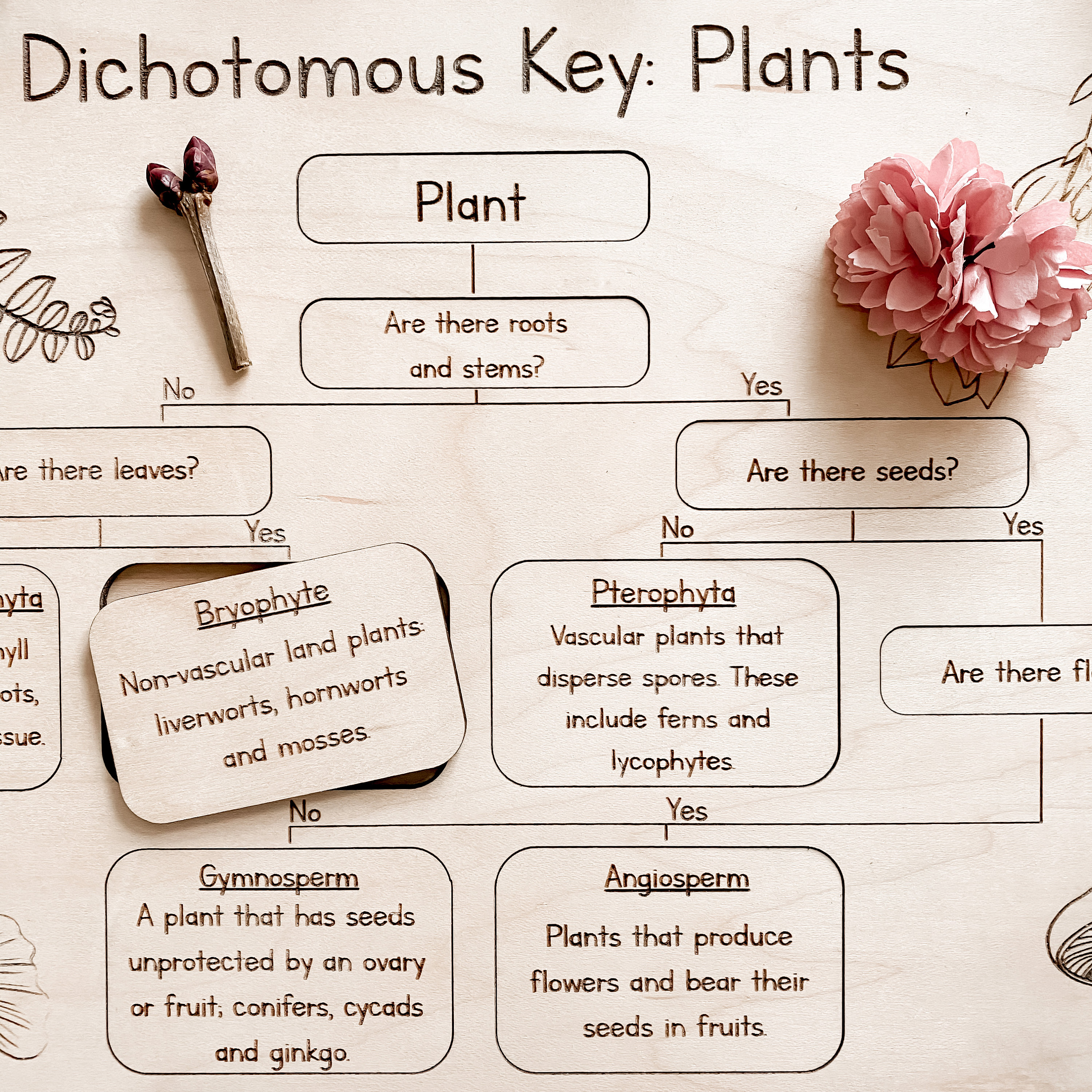 SVG DIGITAL FILE Only Dichotomous Key Plants Puzzle Etsy Hong Kong