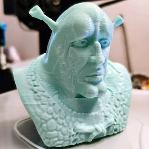 Handsome Shrek / Squidward Bust 3D Printed Painted or Unpainted - Etsy