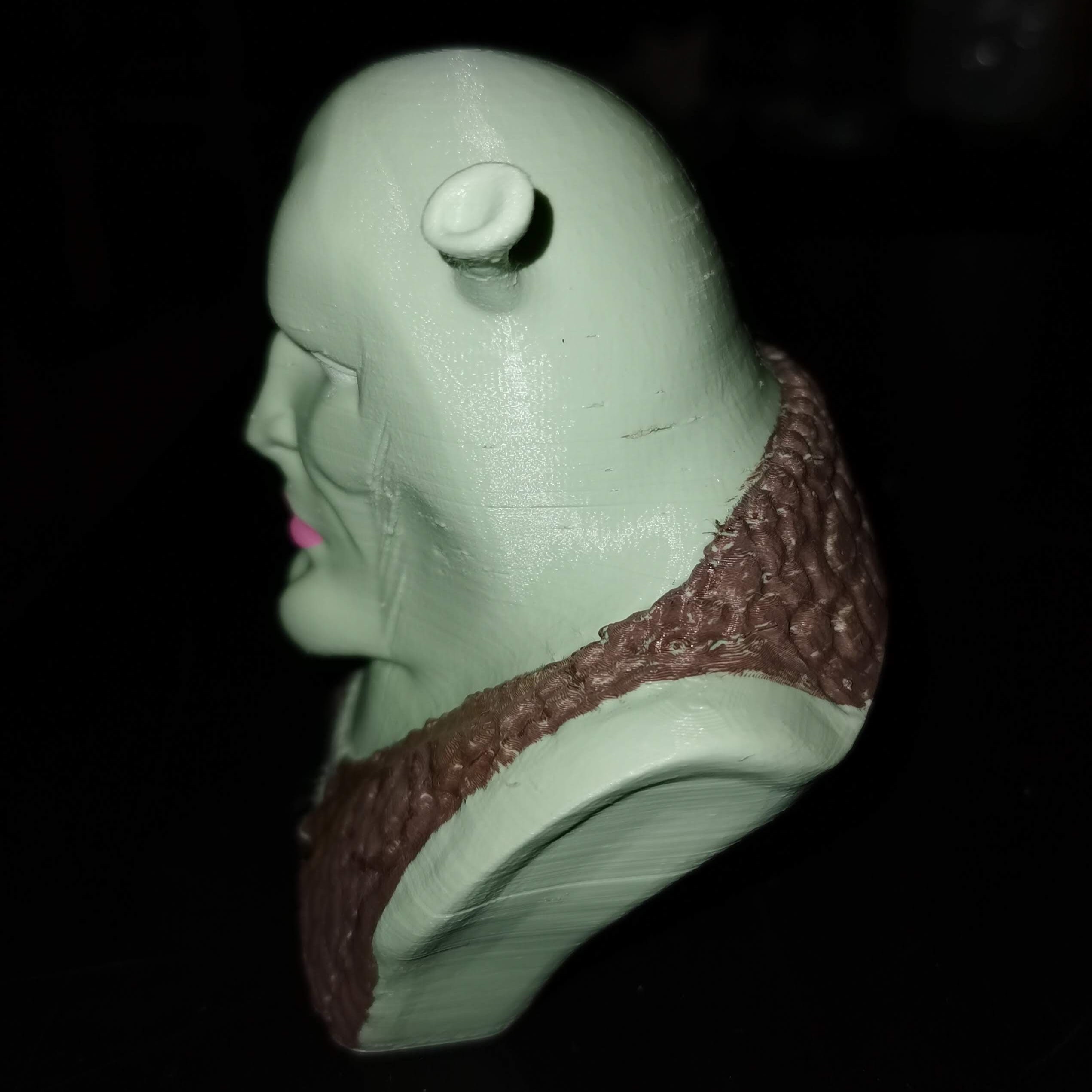 Handsome Shrek / Squidward bust 3D Printed Painted or Etsy