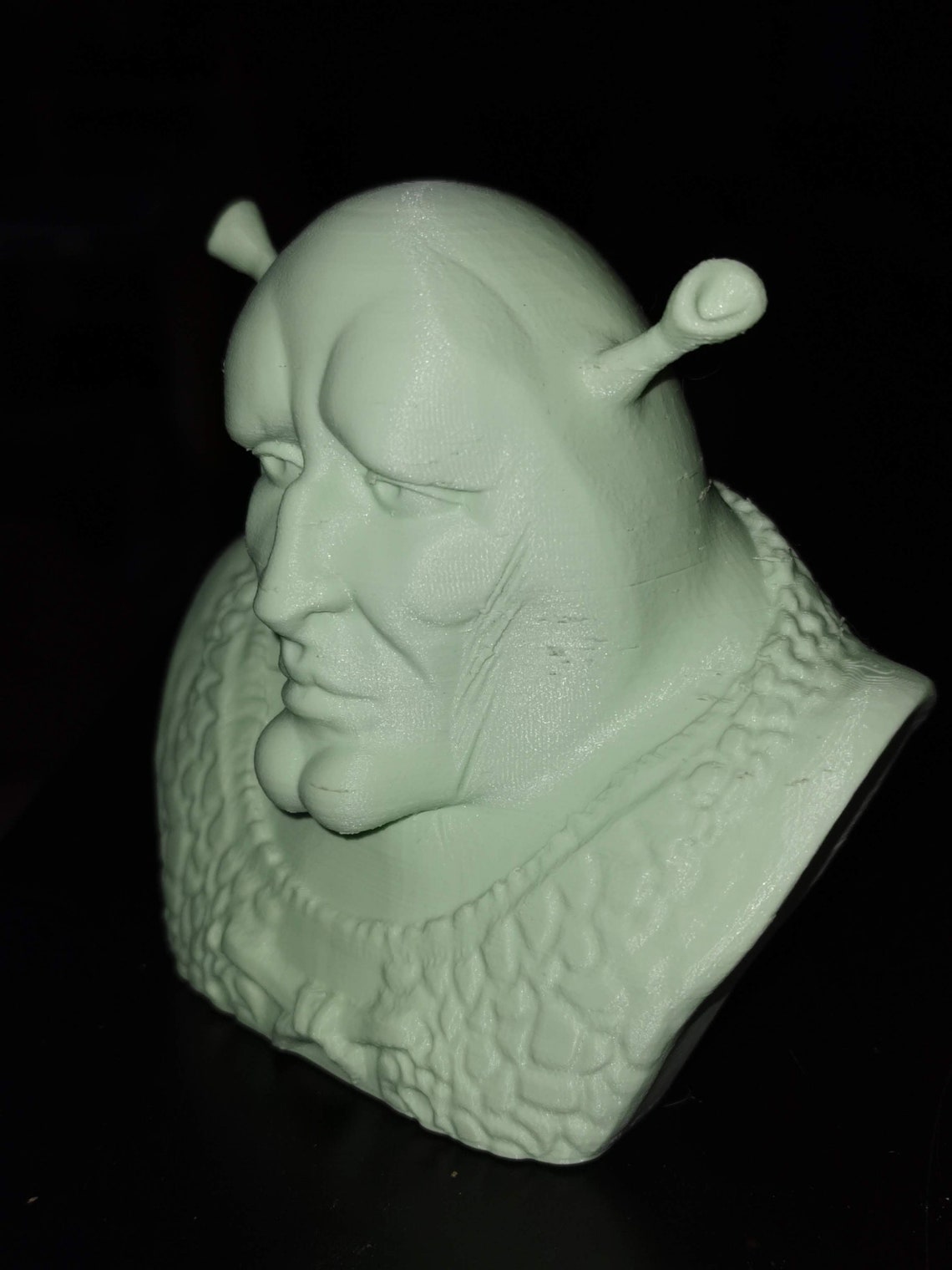 Handsome Shrek / Squidward bust 3D Printed Painted or Etsy