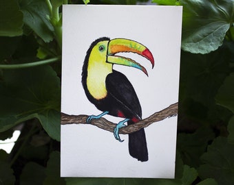 Keel-billed toucan, original watercolor painting, postcard format