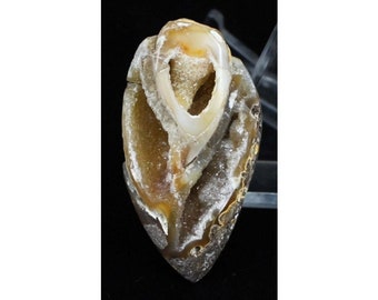 48.00 Cts High Grade Agatized Snail Druzy Cabochon Gemstone, Designer Fossil Snail Agate Gemstone, Fossil Sea Shell Agate 20x36x15 mm