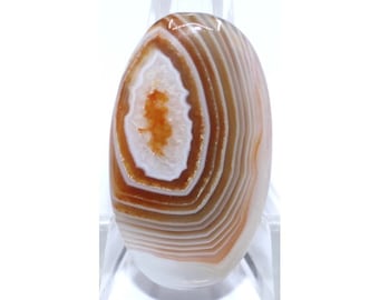 May include: A white agate cabochon with brown and orange banding. The agate has a smooth, polished surface and is oval shaped.