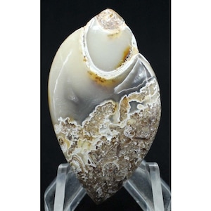 79.20 Cts Natural Agatized Snail Druzy Cabochon loose Gemstone, Fossil Snail Agate Cabochon, Fossilized Shell Agate Gemastone 26x47x8 mm