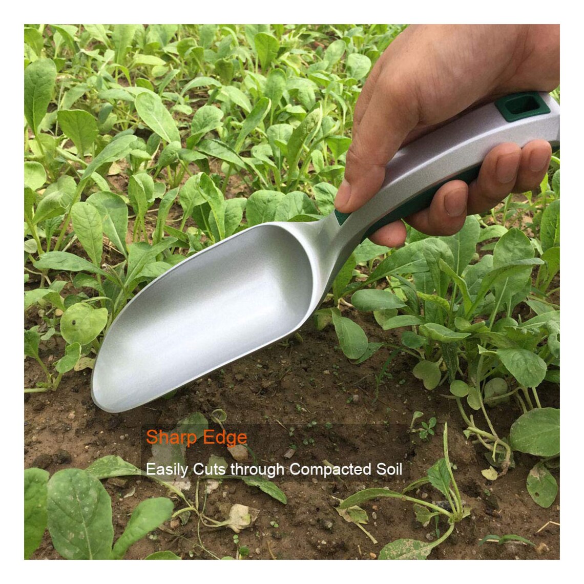 Personalized GARDENING TROWEL Garden Tool Shovel Trowels Rake Fork ...