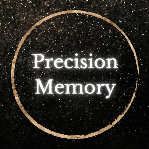 PrecisionMemory logo
