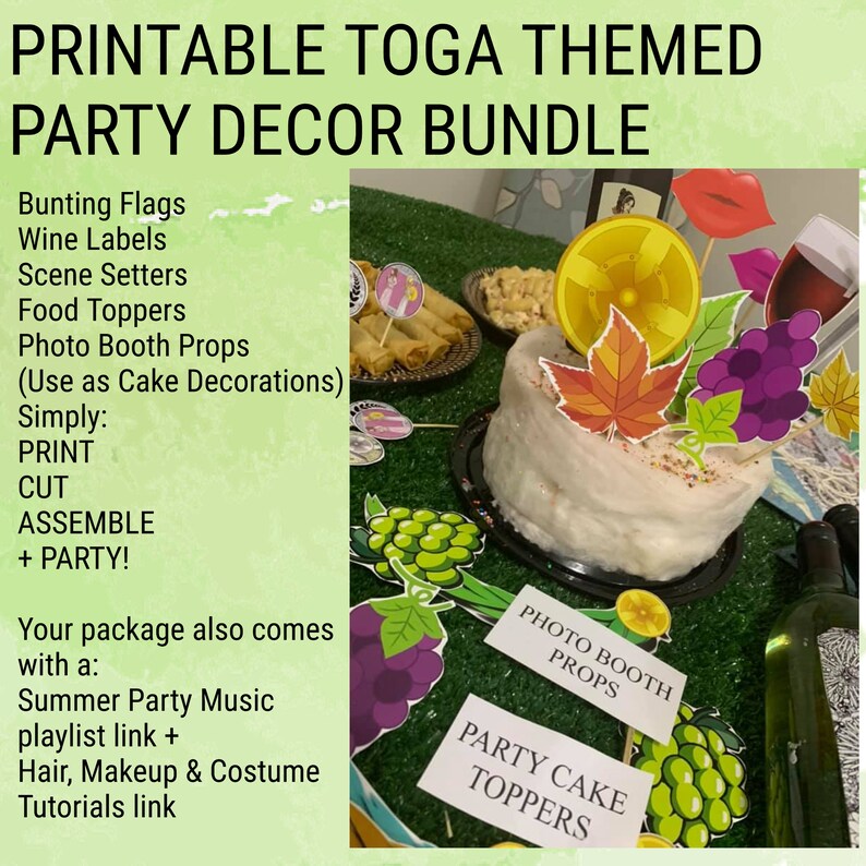 Toga Party Printable Party Pack / Toga Photo Booth Props / Toga Cake / Toga Wine Labels / Toga Themed Parties / Toga Party Planning image 2