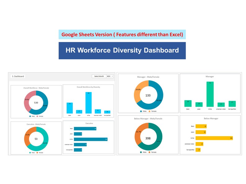 HR Workforce Diversity Dashboard, Excel & Google Sheets Template - Etsy