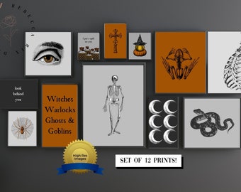 May include: A collection of 12 framed art prints with a Halloween theme. The prints feature illustrations of eyes, skeletons, spiders, snakes, and moons. Some prints have text that reads "Witches Warlocks Ghosts & Goblins" and "look behind you".