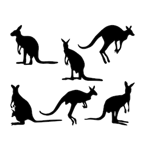 Set von Kängurus wiederverwendbare Schablone Größen A5 A4 A3 Tiere Kangaroo AUSTRALIA / KANG1