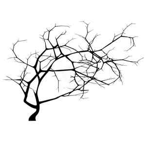 May include: A black silhouette of a bare tree branch with many branches extending out from the trunk.