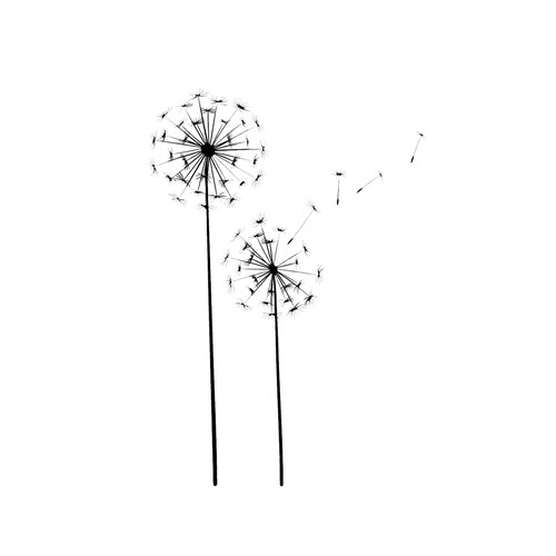 Dandelions Plant Reusable Stencil Sizes A5 A4 A3 Romantic - Etsy