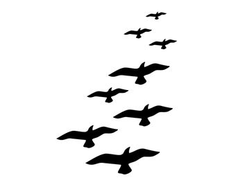 May include: Silhouette of a flock of birds flying in formation against a white background. The birds are all facing the same direction and are flying in a V-shape.