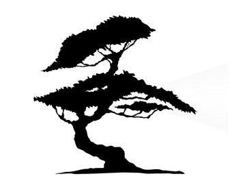 Puede incluir: Silueta negra de un árbol bonsái sobre fondo blanco. El árbol presenta un tronco curvo y dos niveles de ramas frondosas, creando una representación estilizada y artística de la naturaleza.