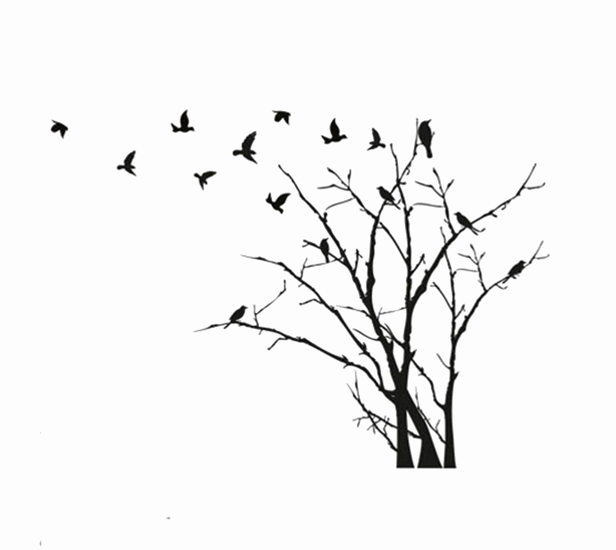 Wild Birds Flying off the Branch Reusable Stencil Sizes A5 A4 Etsy