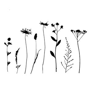 Zestaw botanicznych kwiatów polnych, wielokrotnego użytku, rozmiary szablonów: A5, A4, A3, Craft Flora Nature, Shabby Chic / Wild14