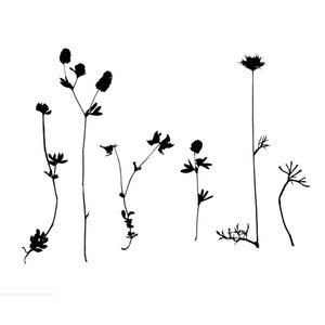Botanical Wild Flowers Set Reusable Stencil Sizes A5 A4 A3 Craft Flora Nature Shabby Chic / Wild13