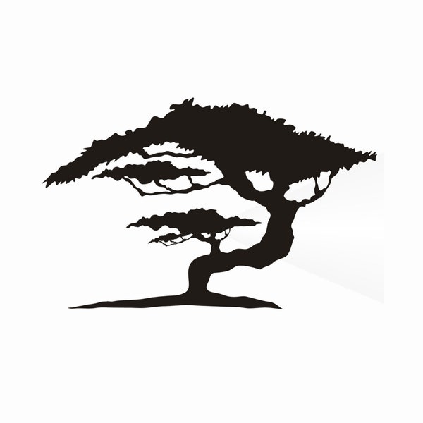 Bonsai Tree Painting - Etsy