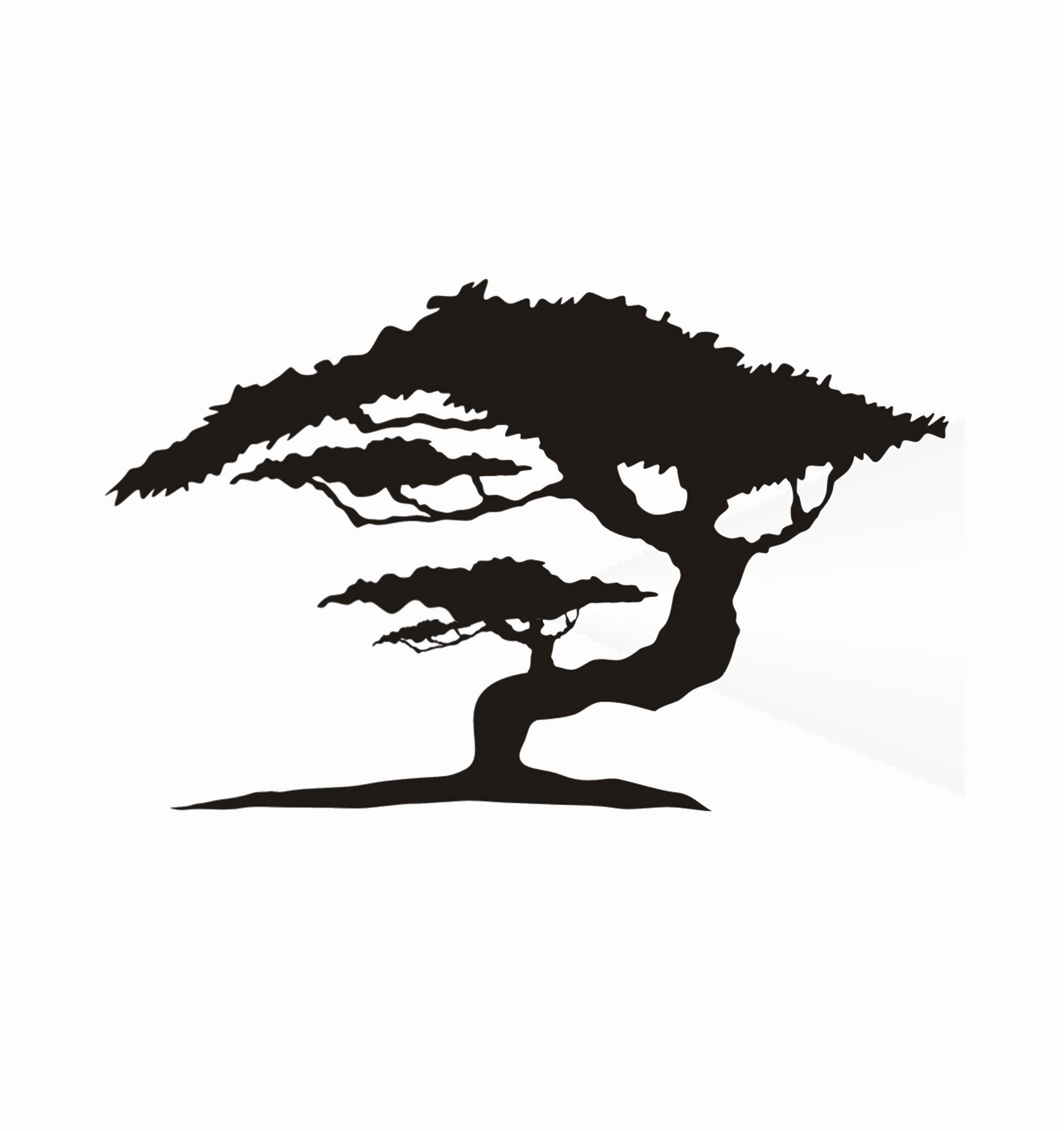 Bonsai Tree Reusable Stencil Sizes A5 A4 A3 Craft Flora Nature   Etsy