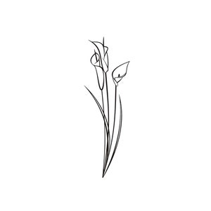 Puede incluir: Un dibujo en blanco y negro de un ramo de lirios calla.