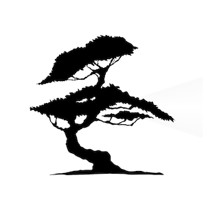 Bonsai Tree BIG SIZES Reusable Mylar Stencil or Self Adhesive Stencil Art Craft Wall Decor / T4